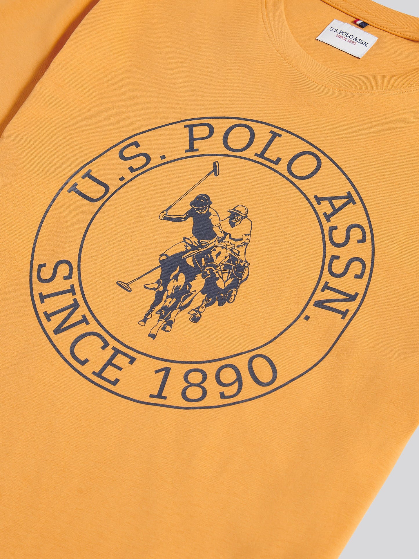 T-shirt mrówek USPA Circle Print w Złotej moreli