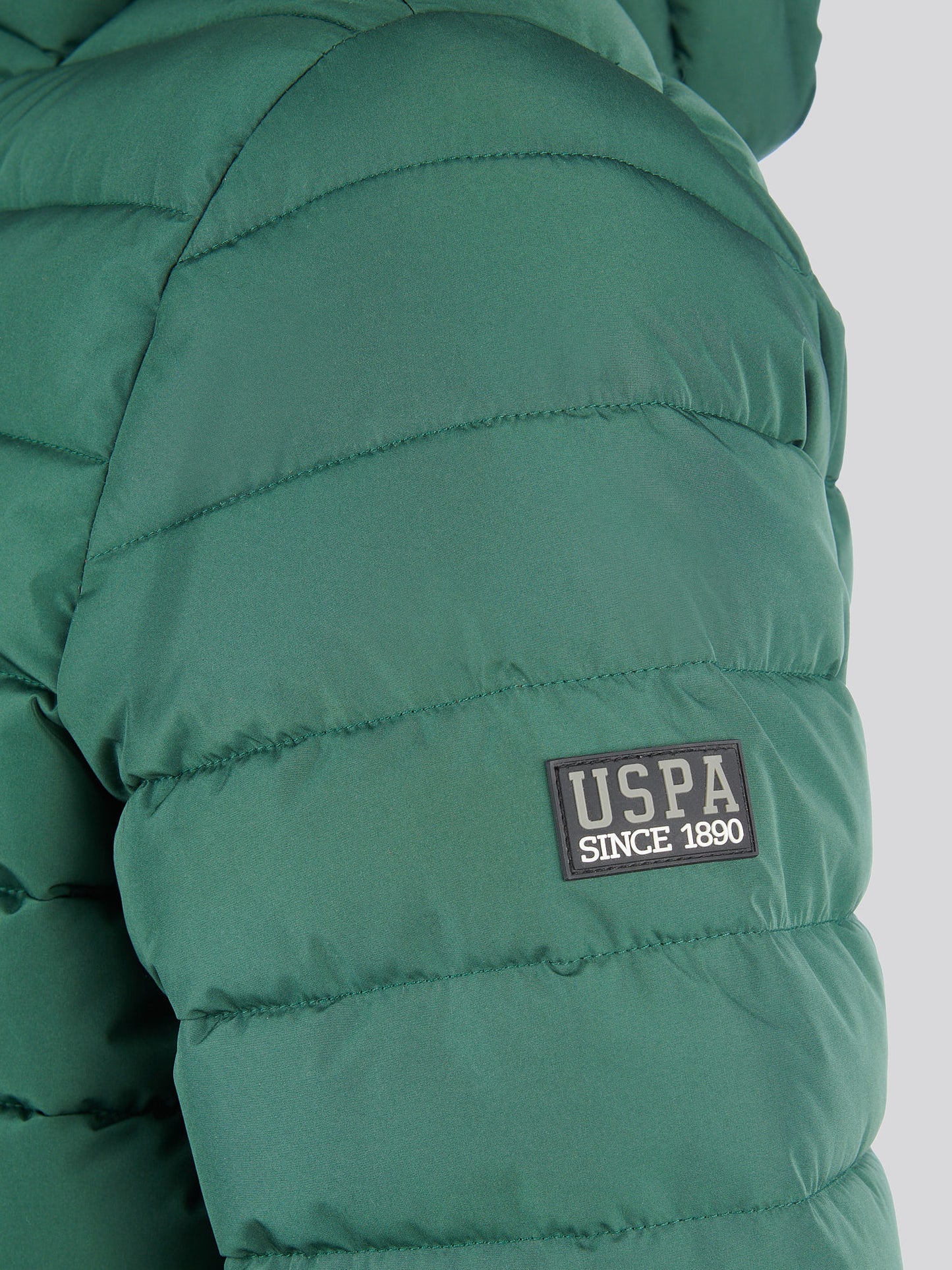 Mens Lightweight Quilt Hooded Puffer in Pineneedle