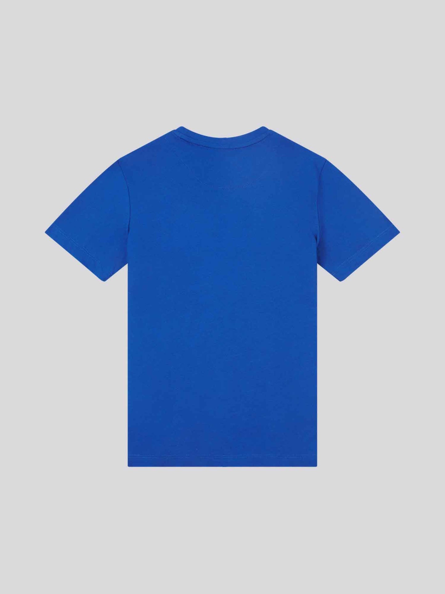 Chłopcy podwójne jeźdźcy graficzne T-shirt w Sodalite