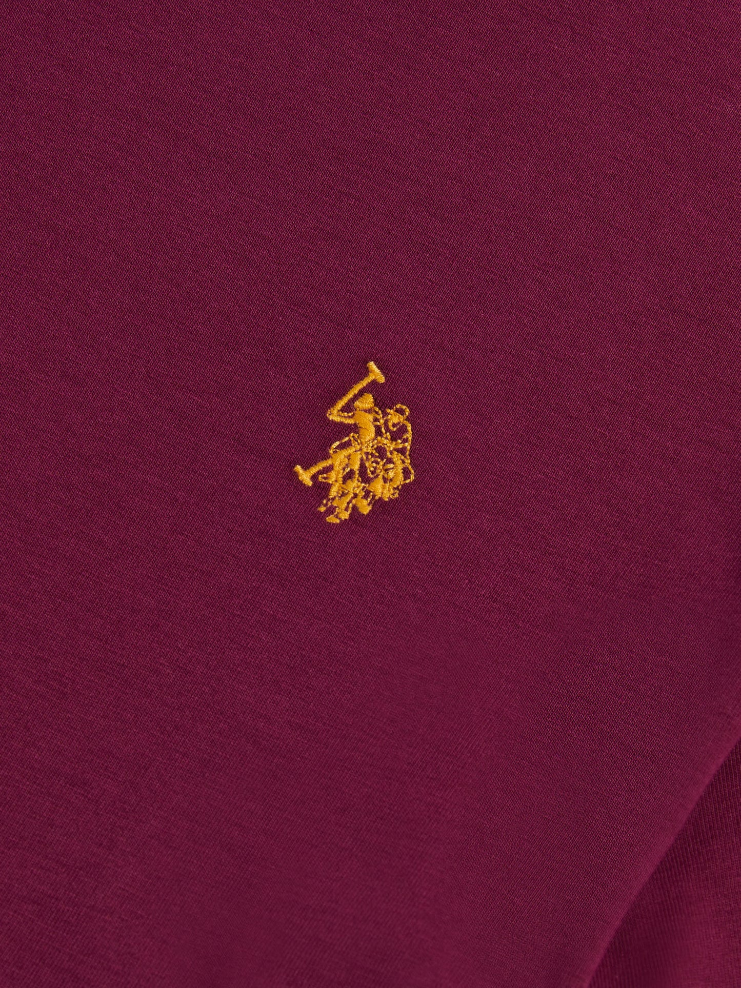 T-shirt podwójnych jeźdźców w winorośli