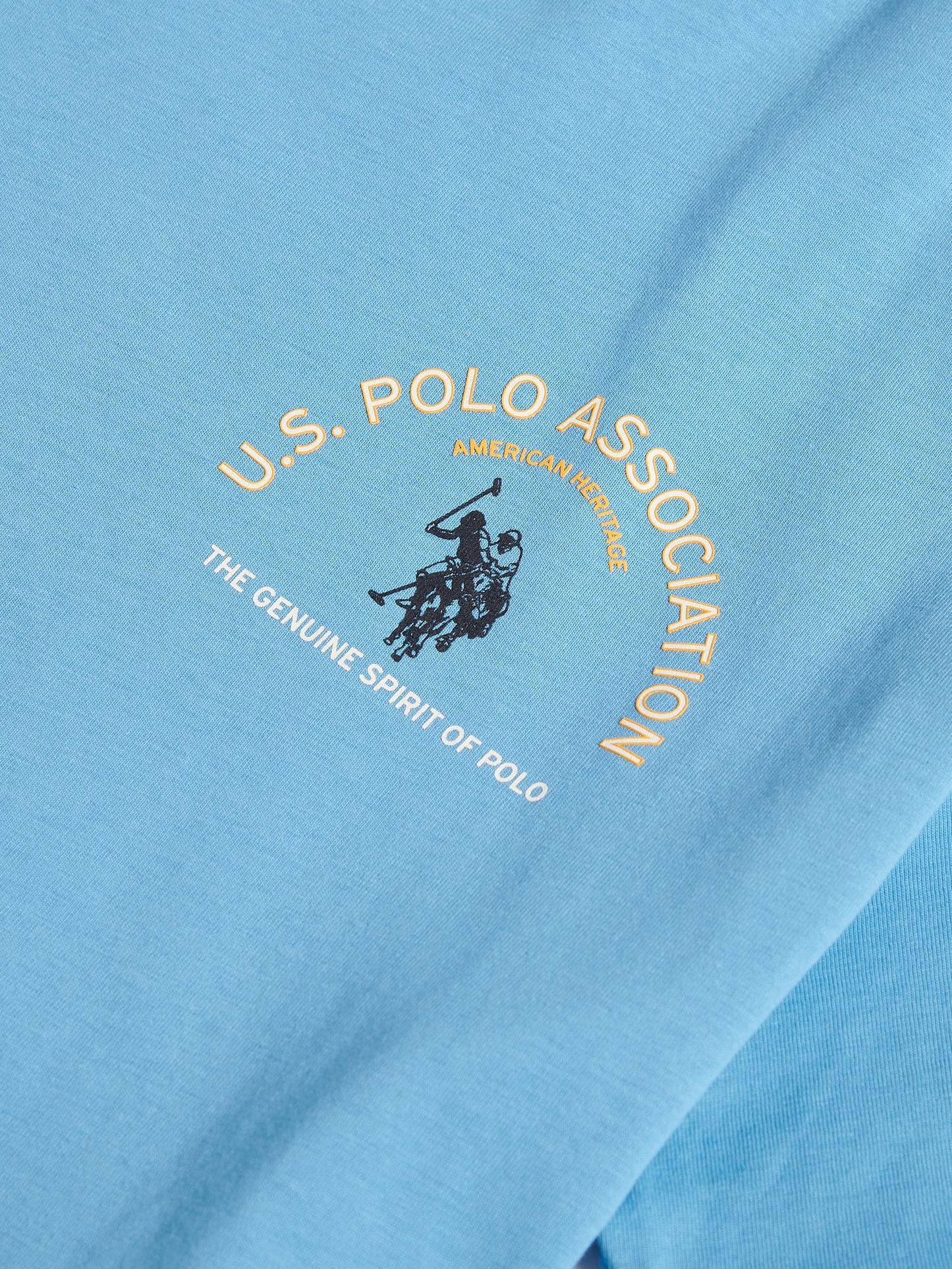 Męskie z przodu z tyłu graficzna koszulka z Heritage Blue