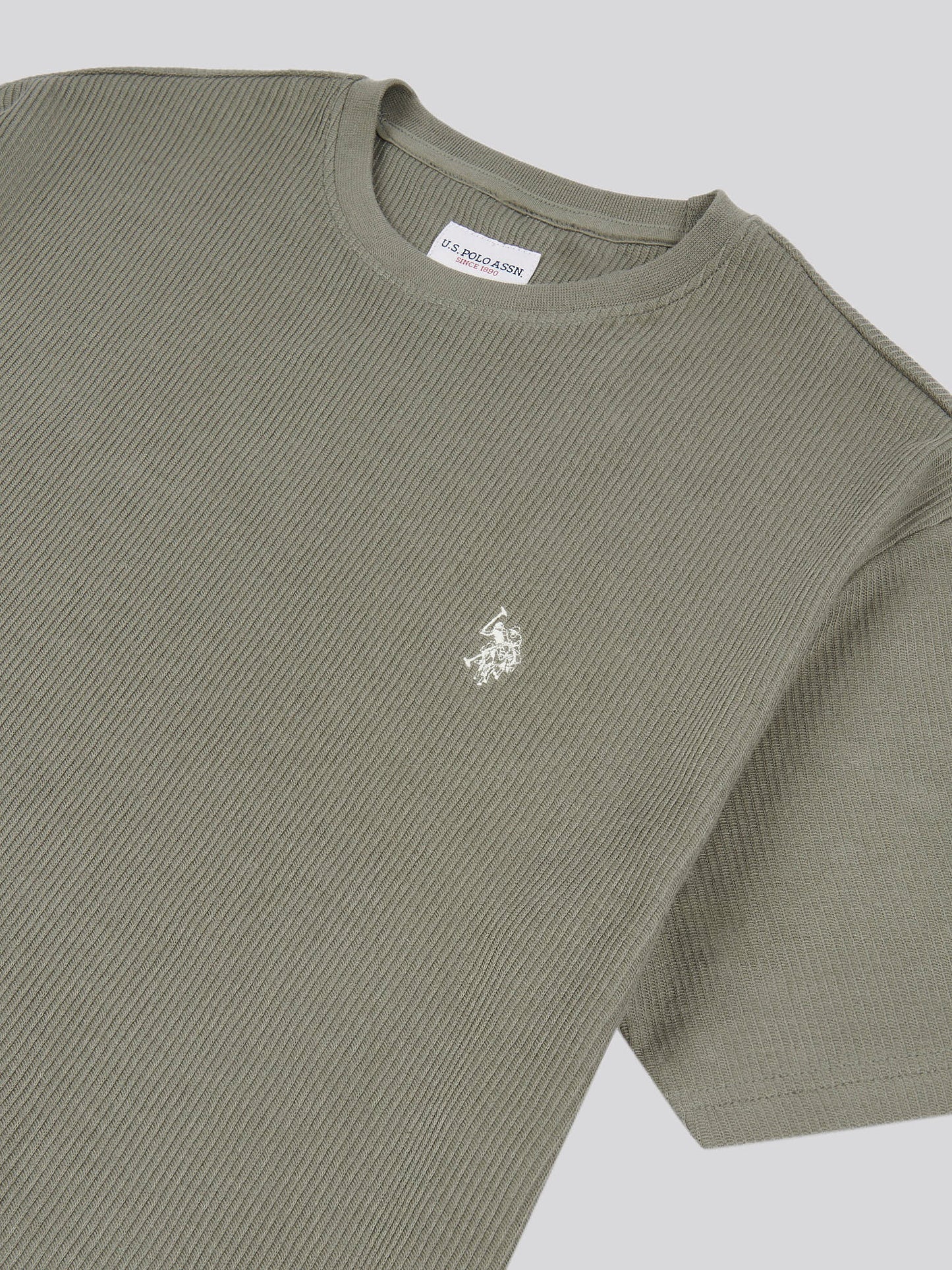 Męska pionowa konsystencja T-shirt w grzbietowej bazylii