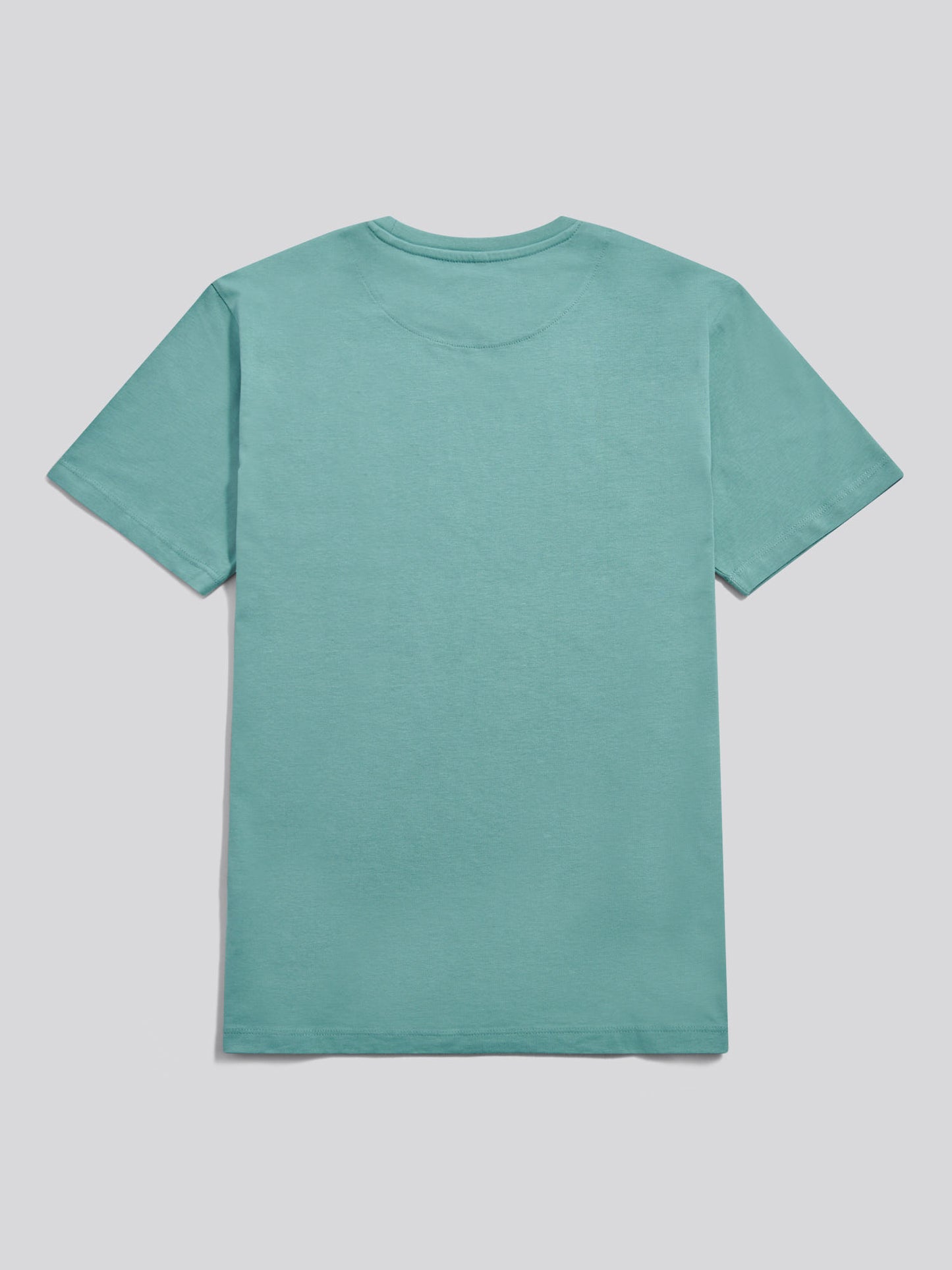 Mens USPA Print Graphic T-Shirt Arctic