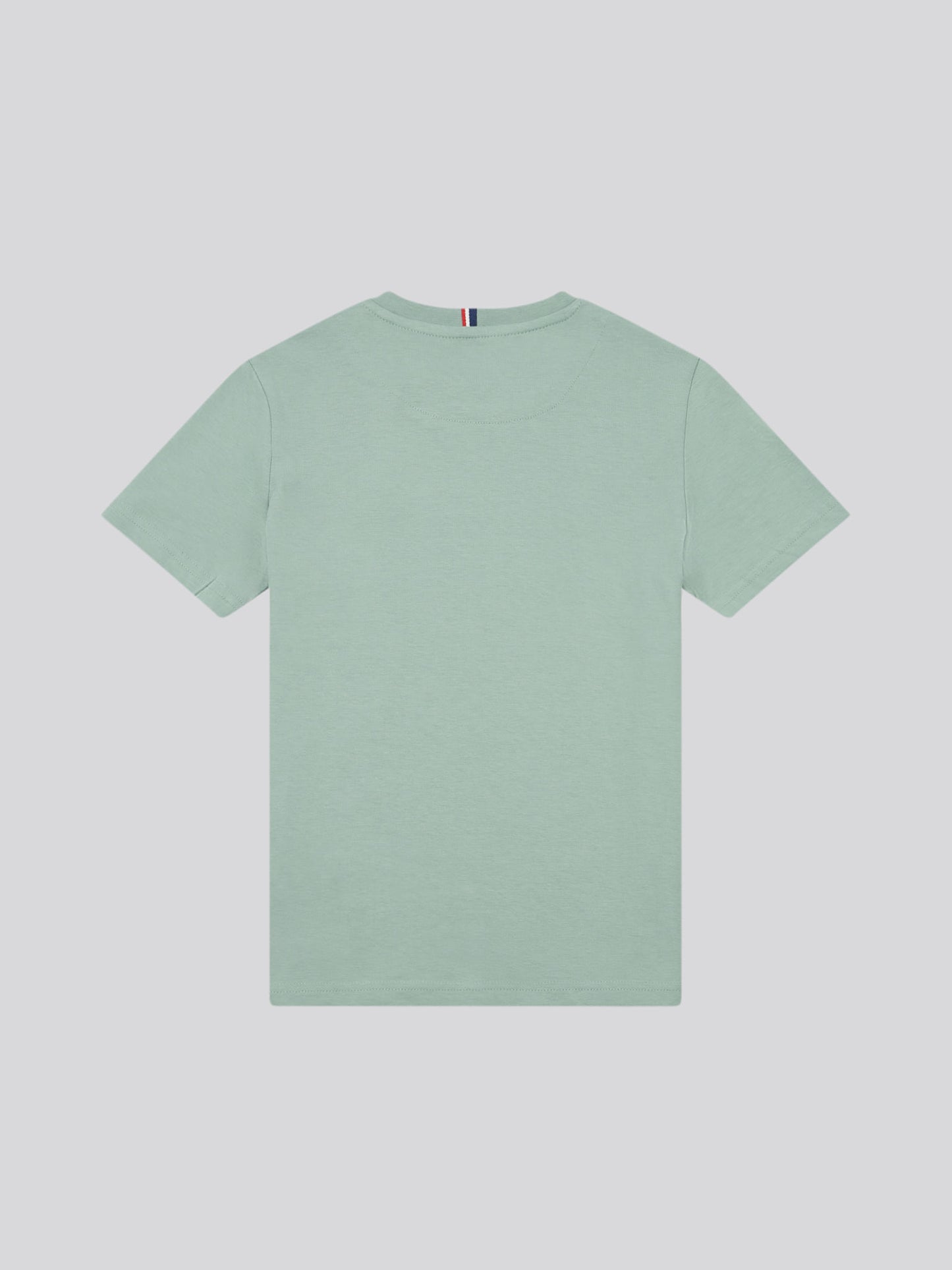 Boys Double Horsemen T- Shirt in Chinois Green
