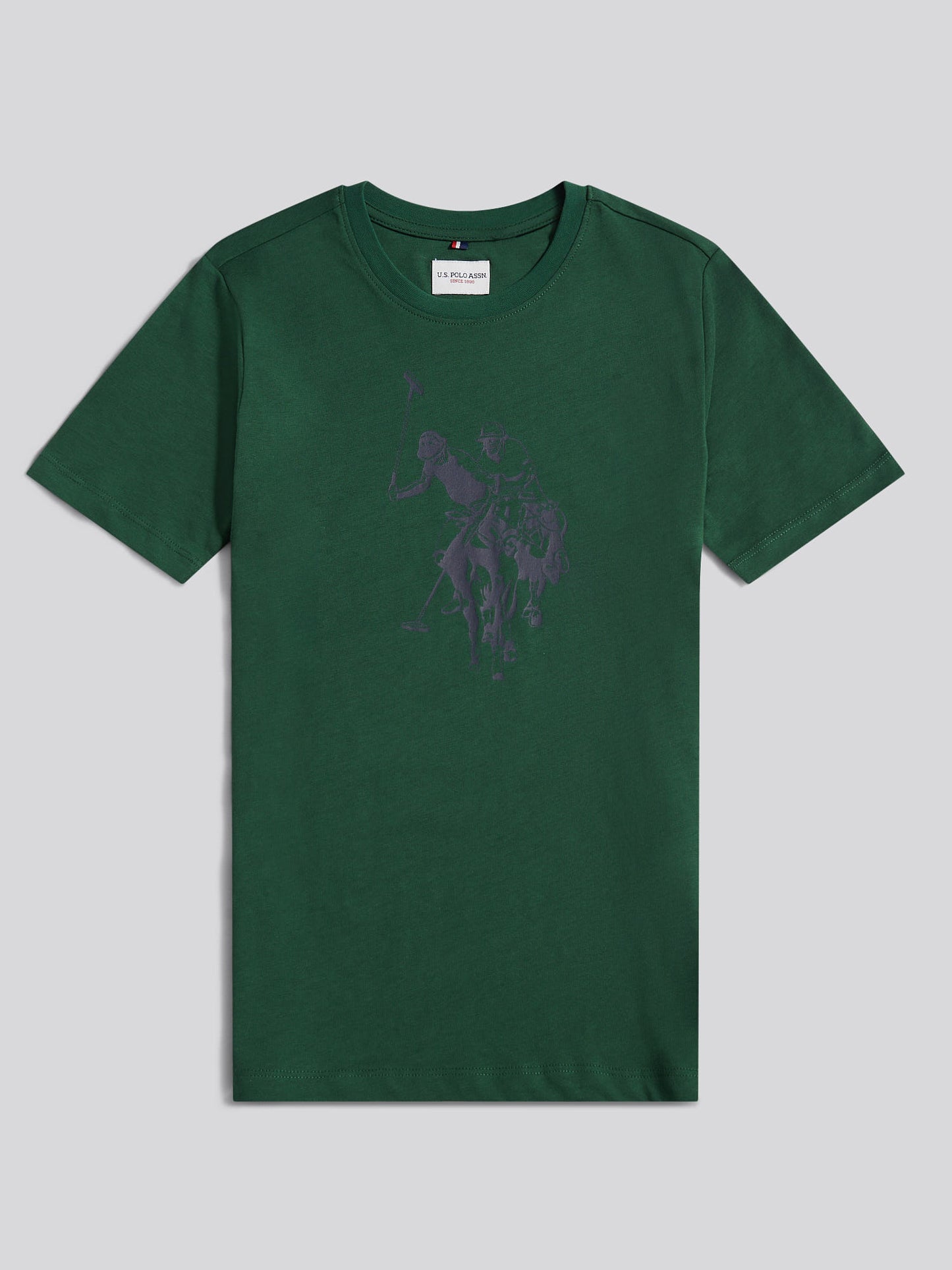 DHM Graphic Tshirt Pineneedle
