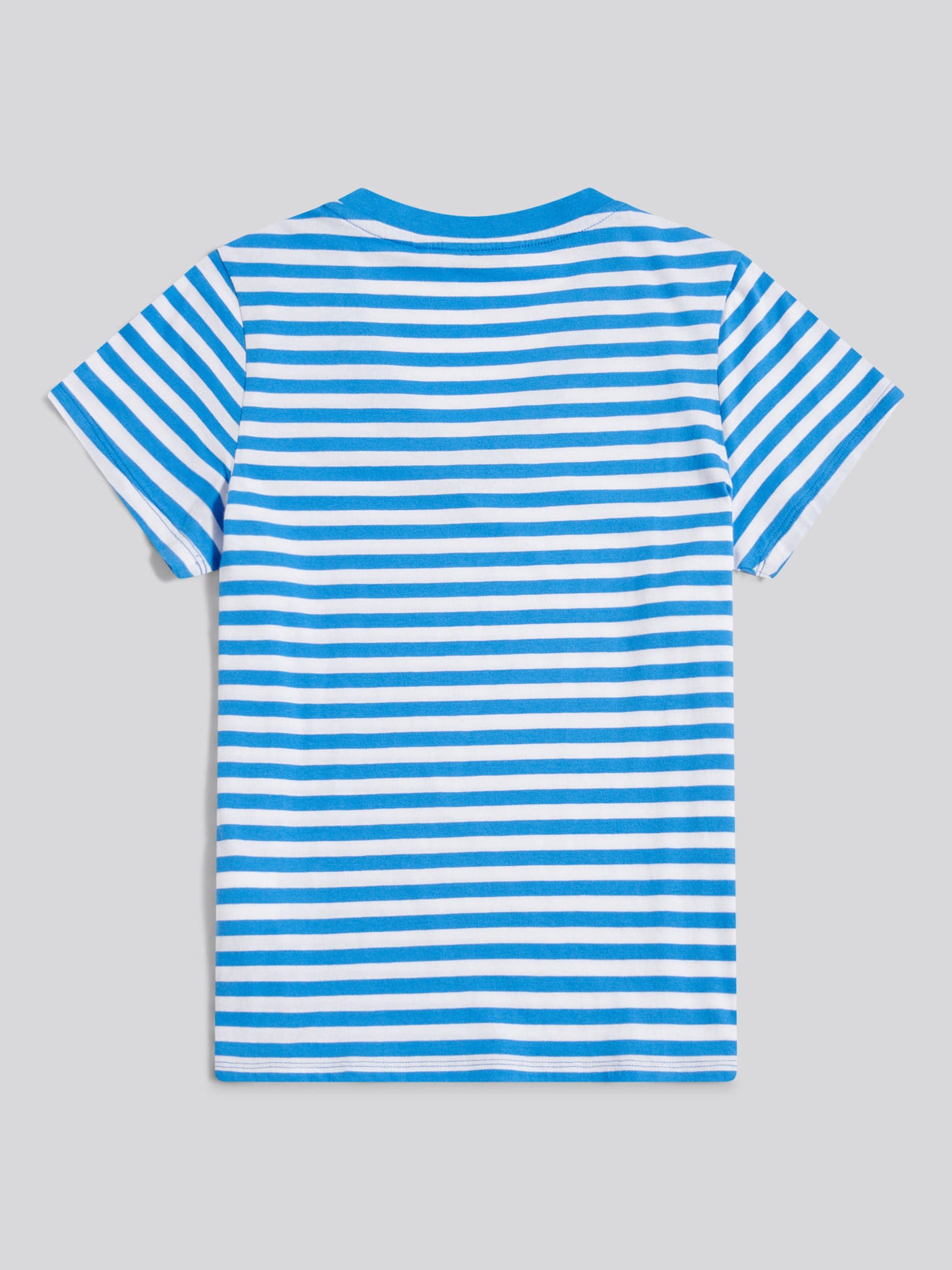 Womens Stripe V-Neck Neck T-Shirt in Regatta Blue