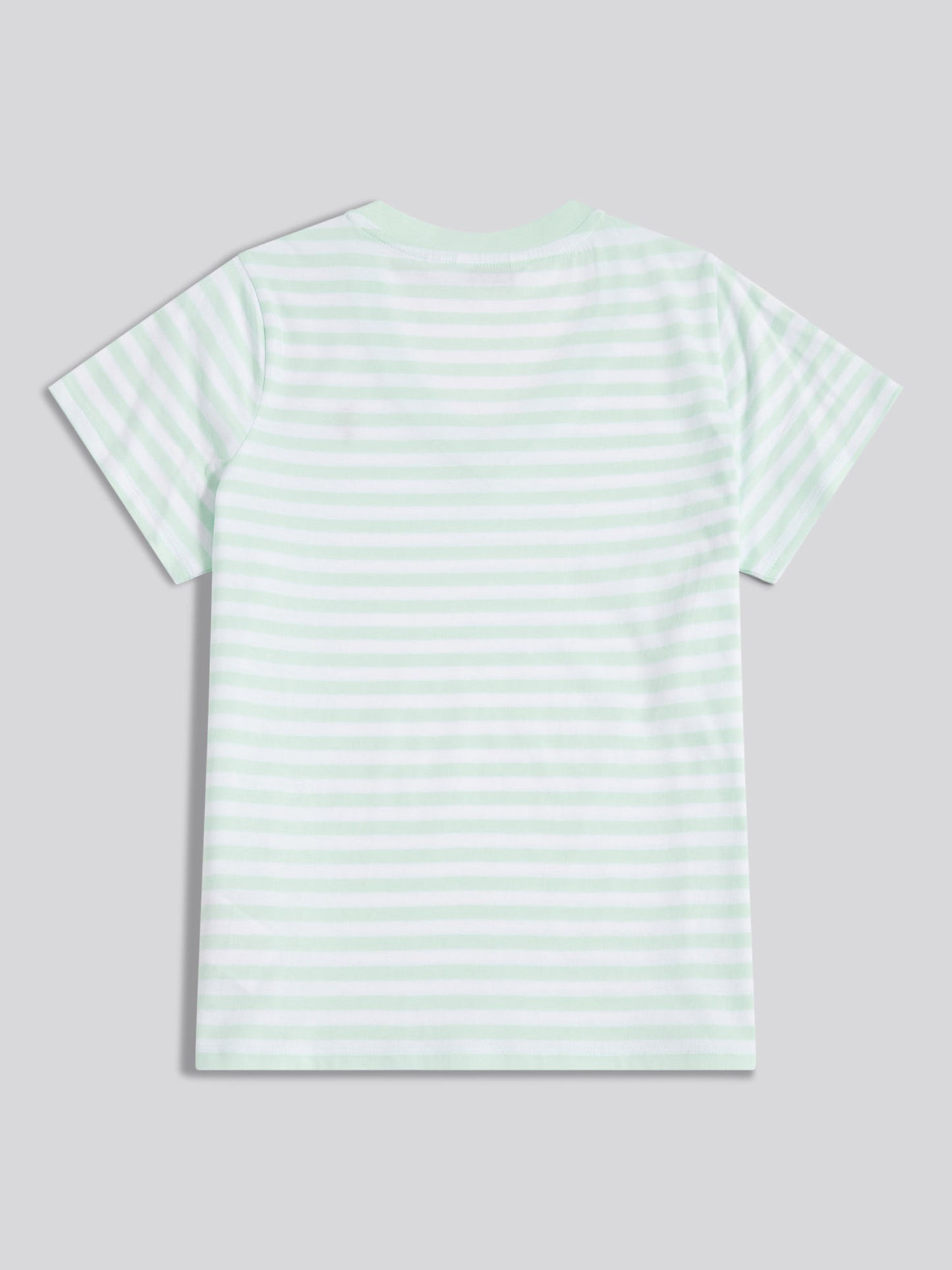 Womens Stripe V-Neck Neck T-Shirt in Misty Jade