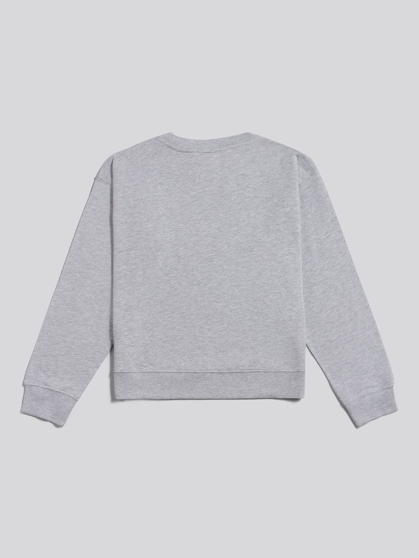 Bluza załogi podwójnej jeźdźcy w Pearl Grey Marg