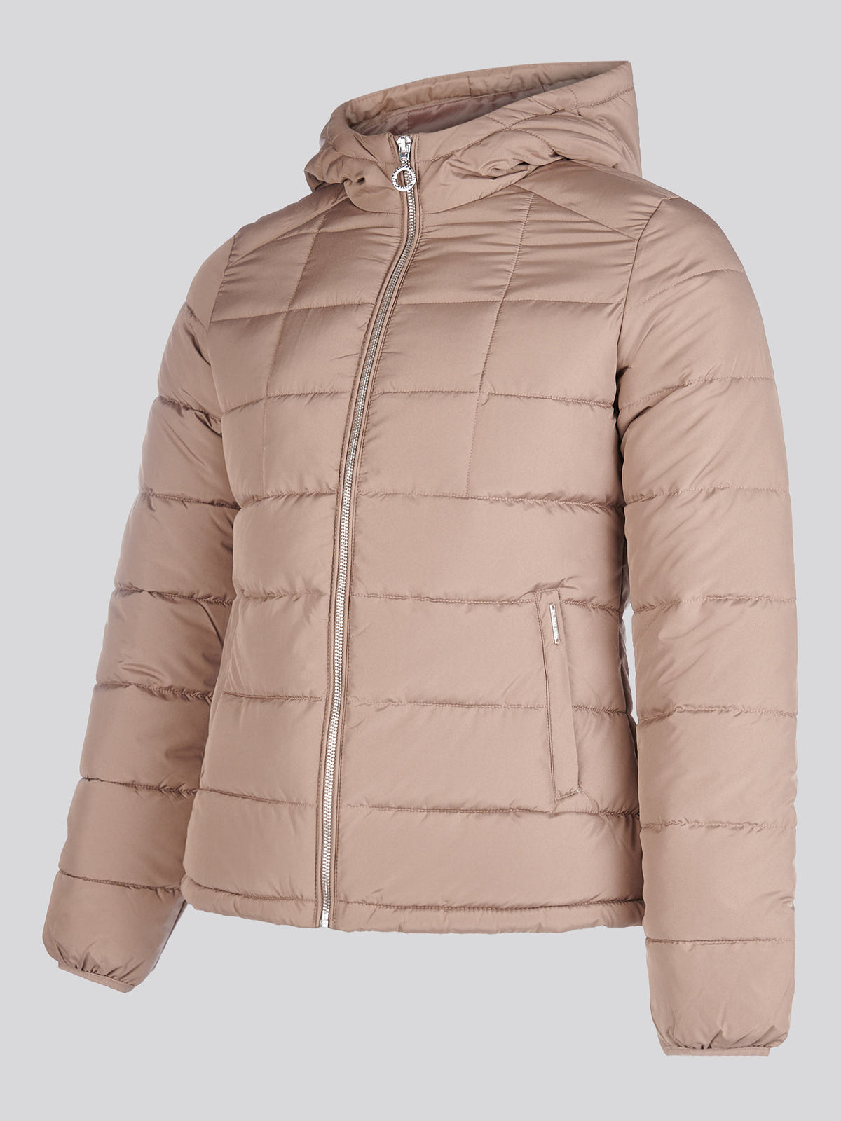 Womens Quilted Hooded Puffer Coat in Leafless Tree