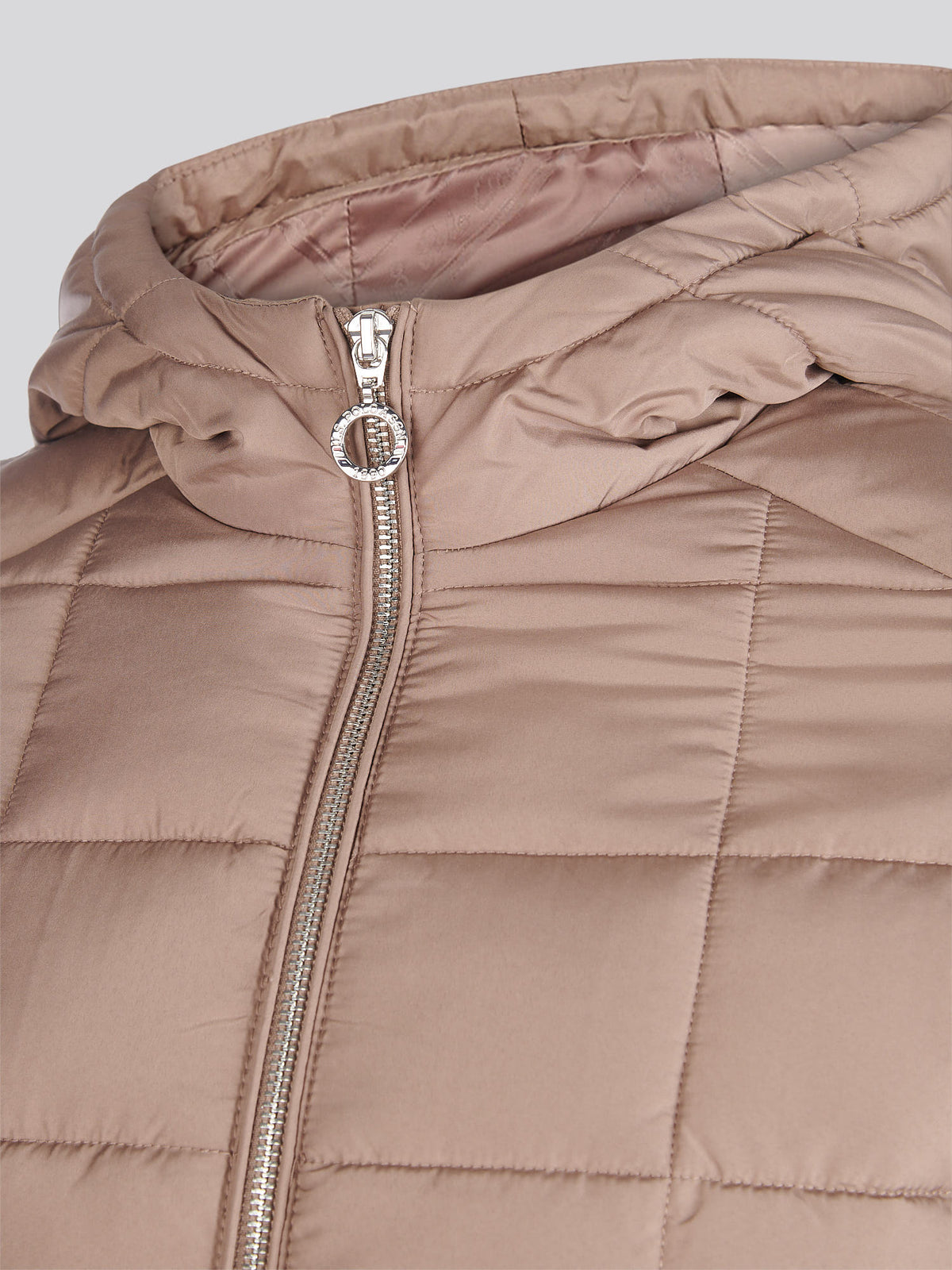 Womens Quilted Hooded Puffer Coat in Leafless Tree