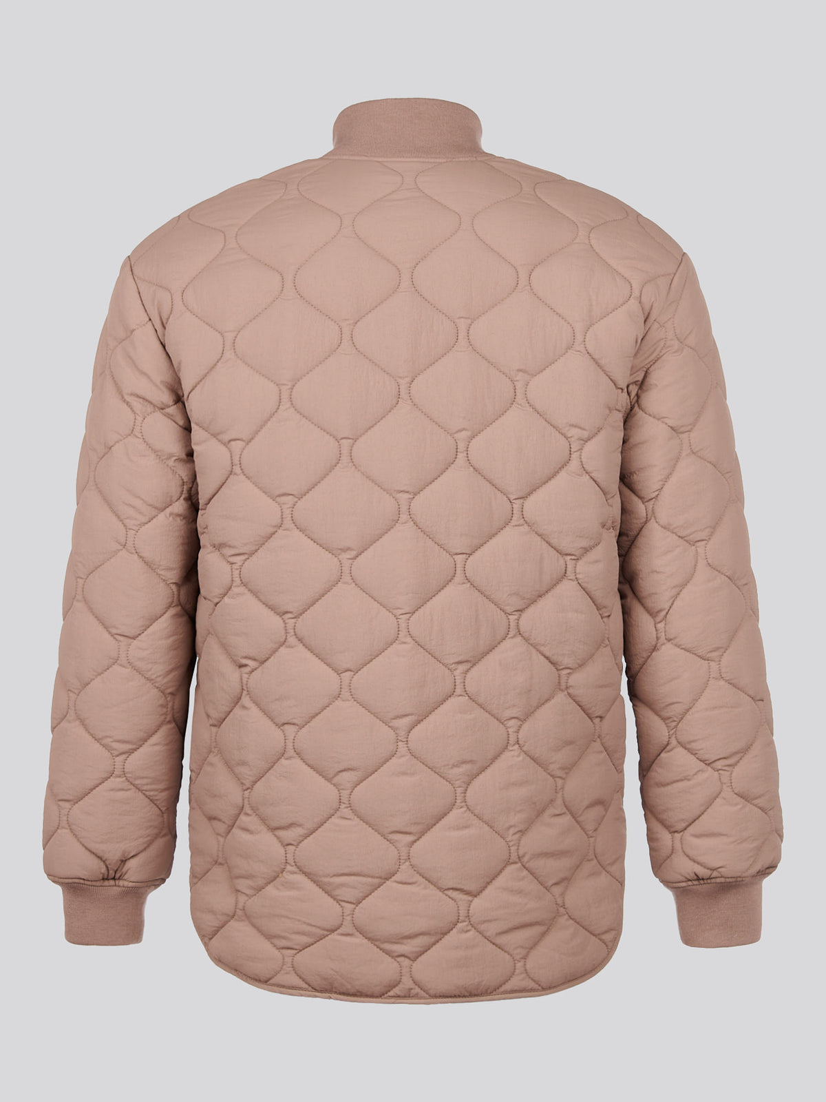Womens Contrast Bomber Jacket in Leafless Tree